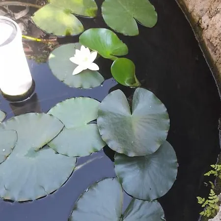 Casa Donau Delta Gasthuis 3*