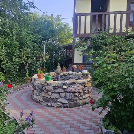Casa Donau Delta Guest house