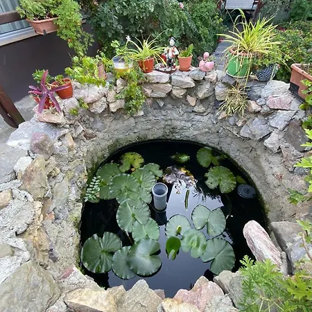 Casa Donau Delta *