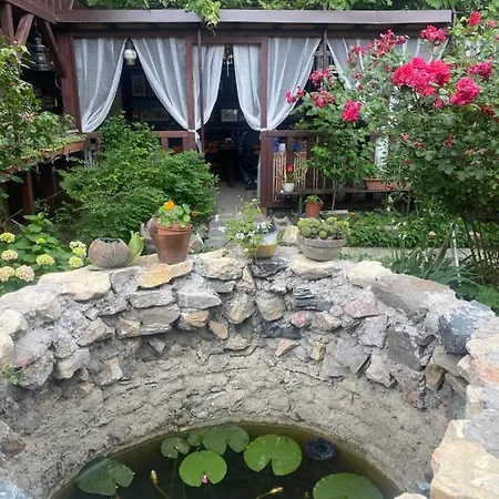 Гостевой дом Casa Donau Delta